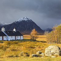 Buy canvas prints of Autumn at Black Rock Cottage by Andrew Ray