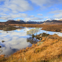 Buy canvas prints of Autumn at Lochan na h-Achlaise by Andrew Ray