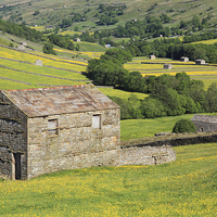 Buy canvas prints of Barns in Swaledale by Andrew Ray