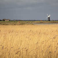 Buy canvas prints of Burgh Castle Marshes by Andrew Ray