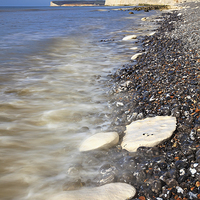 Buy canvas prints of Chalk Boulders (Seven Sisters) by Andrew Ray