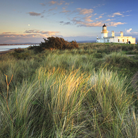 Buy canvas prints of Chanonry Point Lighthouse by Andrew Ray