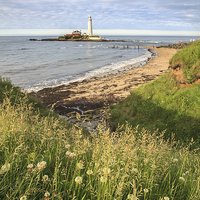 Buy canvas prints of St Marys Lighthouse by Andrew Ray