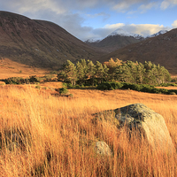 Buy canvas prints of Evening Light in Glen Etive by Andrew Ray