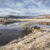Buy canvas prints of Frosty Morning at Lochan na h-Achlaise by Andrew Ray