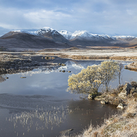 Buy canvas prints of Frosty Morning on Rannoch Moor by Andrew Ray
