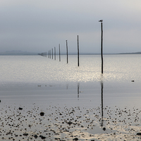 Buy canvas prints of Holy Island Posts by Andrew Ray