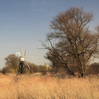 Buy canvas prints of How Hill Marshes by Andrew Ray