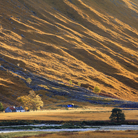 Buy canvas prints of Isolated Farmstead (Glen Etive) by Andrew Ray