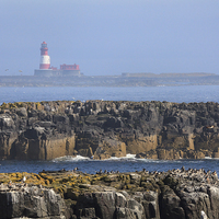 Buy canvas prints of Longstone Lighthouse by Andrew Ray