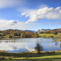 Buy canvas prints of Loughrigg Tarn by Andrew Ray