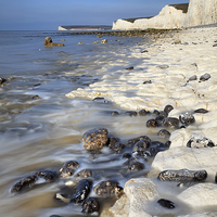 Buy canvas prints of Low Tide at the Seven Sisters  by Andrew Ray