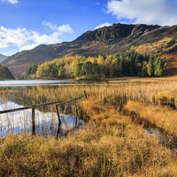 Buy canvas prints of Autumn at Blea Tarn by Andrew Ray
