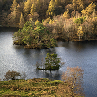 Buy canvas prints of Tarn Hows  by Andrew Ray