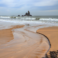 Buy canvas prints of Broad Haven Beach by Andrew Ray