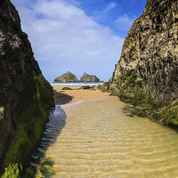 Buy canvas prints of The Gully (Holywell Bay)  by Andrew Ray