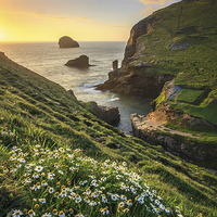 Buy canvas prints of Backways Cove (Trebarwith Strand) by Andrew Ray