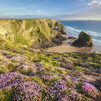 Buy canvas prints of Spring at Bedruthan Steps by Andrew Ray