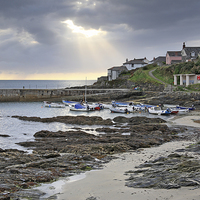 Buy canvas prints of Towards Porthscatho Harbour by Andrew Ray
