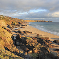 Buy canvas prints of Whitsand Bay Beach by Andrew Ray