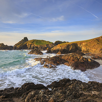 Buy canvas prints of Morning at Kynance Cove by Andrew Ray
