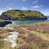 Buy canvas prints of Towards Tintagel Castle by Andrew Ray