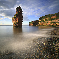 Buy canvas prints of Sea Stack at Ladram Bay by Andrew Ray