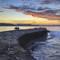 Buy canvas prints of The Cobb at Sunrise by Andrew Ray