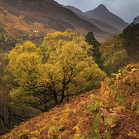 Buy canvas prints of Autumn above Loch Leven by Andrew Ray
