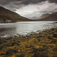 Buy canvas prints of Loch Creran by Andrew Ray