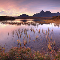 Buy canvas prints of Reeds on Loch Hakel.tif by Andrew Ray