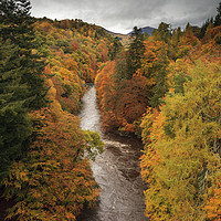 Buy canvas prints of Autumn Colour (River Garry by Andrew Ray