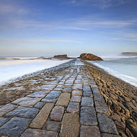 Buy canvas prints of First Light on Bude Breakwater by Andrew Ray