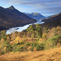 Buy canvas prints of Above Loch Leven by Andrew Ray
