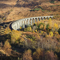 Buy canvas prints of Autumn at Glenfinnan Viaduct by Andrew Ray