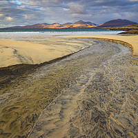 Buy canvas prints of Stream on Luskentyre Beach  by Andrew Ray