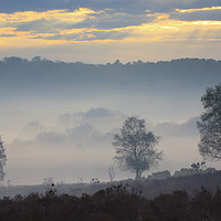 Buy canvas prints of Misty Sunrise (Mogshade Hill by Andrew Ray