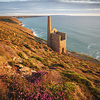 Buy canvas prints of Heather above Wheal Coates by Andrew Ray