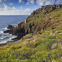 Buy canvas prints of Spring at Botallack  by Andrew Ray (May) by Andrew Ray