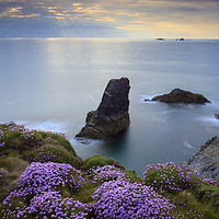 Buy canvas prints of Sea Stack at Treyarnon  by Andrew Ray
