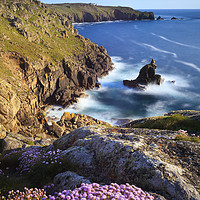 Buy canvas prints of Thrift on Mayon Cliff (Sennen Cove) by Andrew Ray