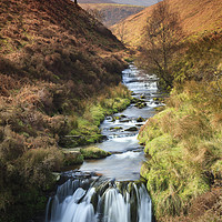 Buy canvas prints of Fairbrook  by Andrew Ray