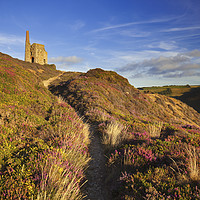 Buy canvas prints of Path to Tywarnhayle by Andrew Ray