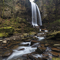 Buy canvas prints of Towards Melincourt Waterfall by Andrew Ray