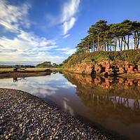 Buy canvas prints of Tree's at Budleigh Salterton by Andrew Ray