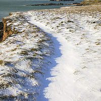 Buy canvas prints of Snow covered path (Godrevy) by Andrew Ray