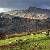 Buy canvas prints of Dolwyddelan view by Andrew Ray