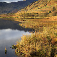 Buy canvas prints of Llyn Lockwood by Andrew Ray