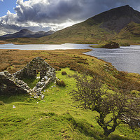 Buy canvas prints of Into the light (Llyn Dywarchen) by Andrew Ray