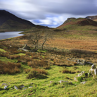 Buy canvas prints of Llyn Dywarchen view by Andrew Ray